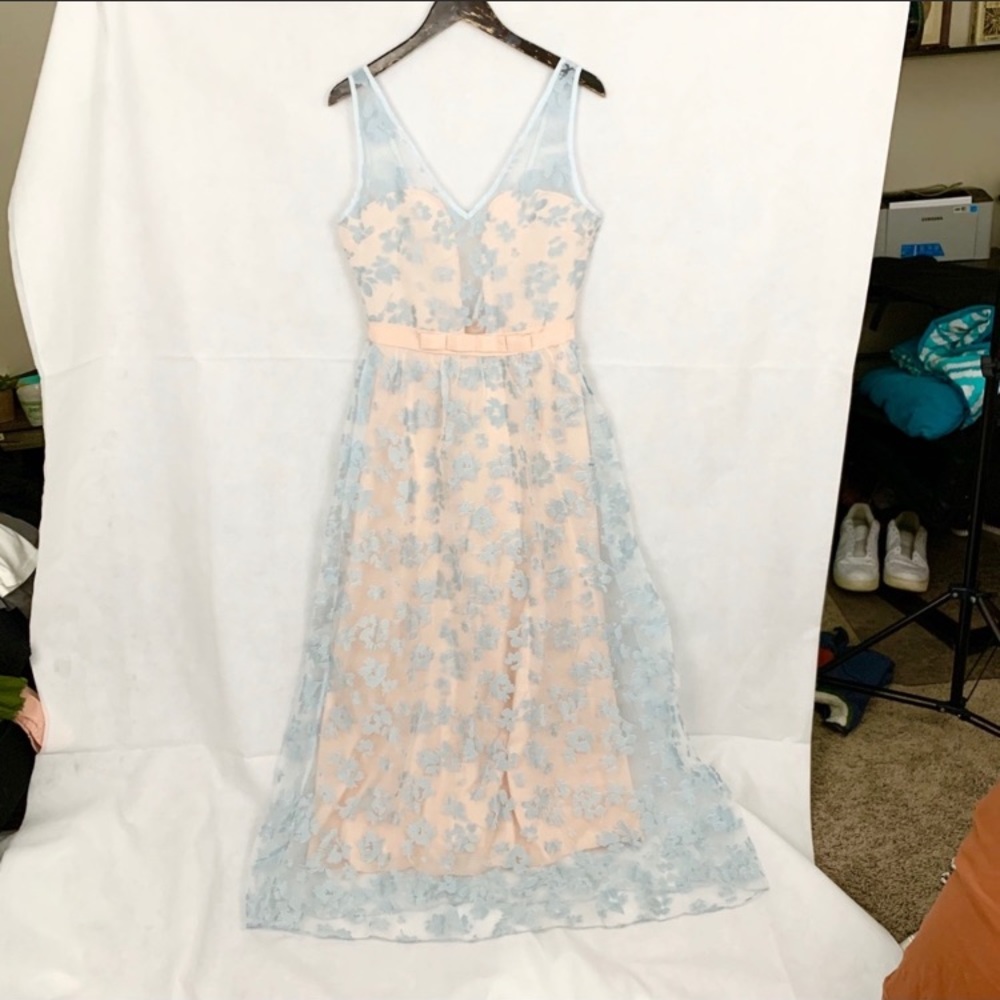 Vintage floral detailed mesh dress🥰